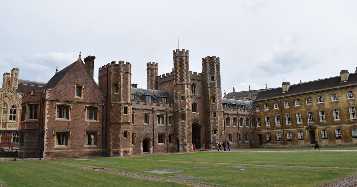 Support Systems for UI Alumni in North America