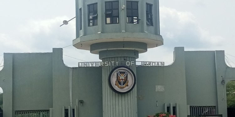 University of Ibadan Entrance image.
